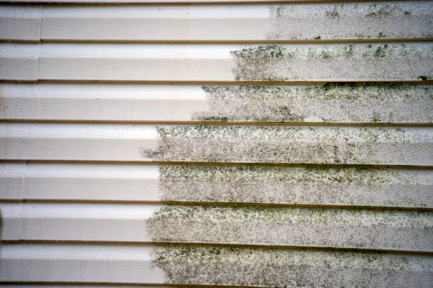 Best Shed Removal  in Alafaya, FL